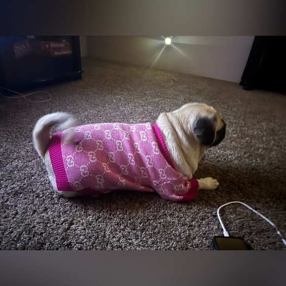 Meet your Posher, Fatima & My baby pugs - Picture 3 of 10